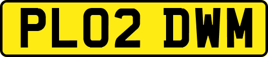 PL02DWM
