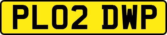 PL02DWP