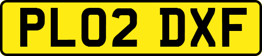 PL02DXF