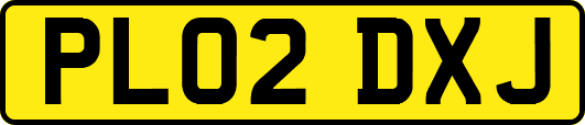 PL02DXJ