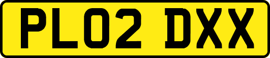 PL02DXX