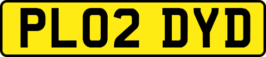 PL02DYD