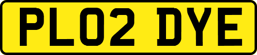 PL02DYE