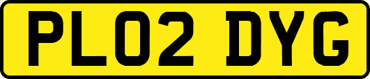 PL02DYG