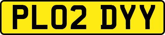 PL02DYY