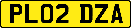 PL02DZA
