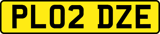 PL02DZE
