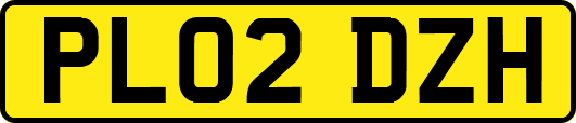 PL02DZH
