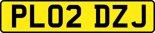 PL02DZJ