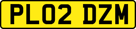 PL02DZM