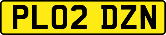 PL02DZN