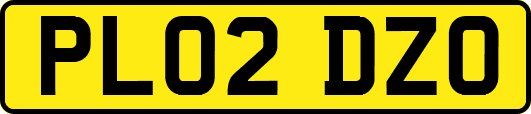 PL02DZO