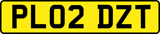 PL02DZT