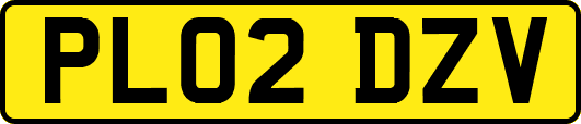 PL02DZV