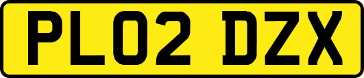 PL02DZX