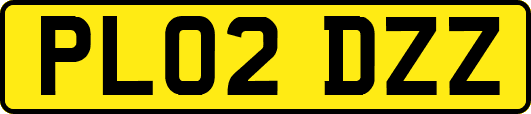 PL02DZZ