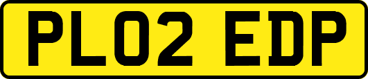 PL02EDP