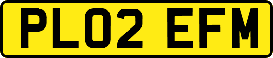 PL02EFM
