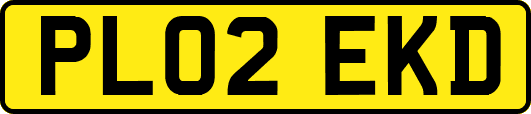 PL02EKD