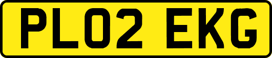 PL02EKG