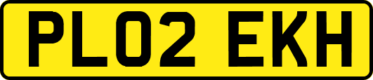 PL02EKH