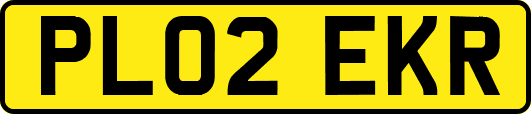 PL02EKR