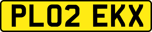 PL02EKX