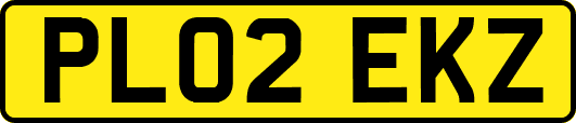 PL02EKZ