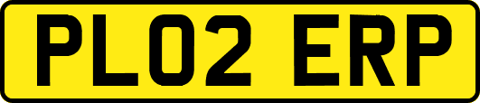 PL02ERP