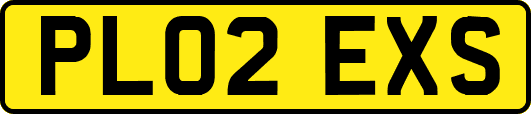 PL02EXS