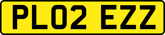 PL02EZZ