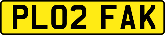 PL02FAK
