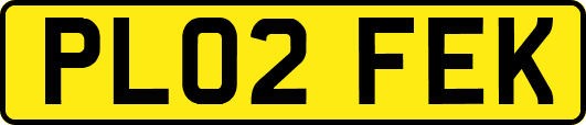 PL02FEK