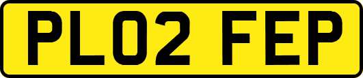 PL02FEP