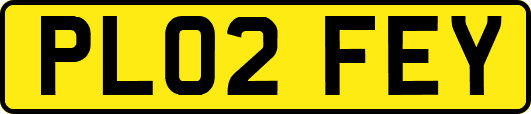 PL02FEY