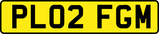 PL02FGM