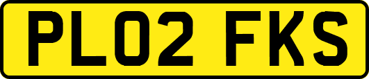PL02FKS