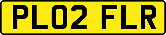 PL02FLR