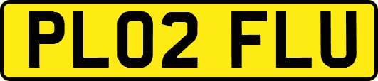 PL02FLU