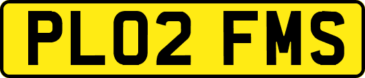 PL02FMS