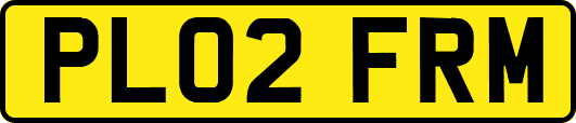 PL02FRM