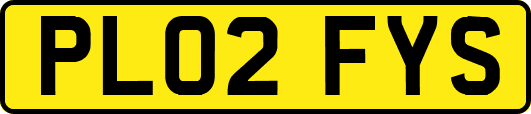 PL02FYS