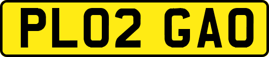 PL02GAO