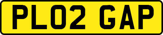 PL02GAP