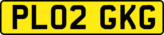 PL02GKG