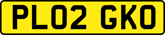 PL02GKO