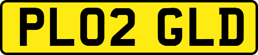 PL02GLD