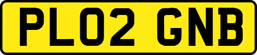 PL02GNB