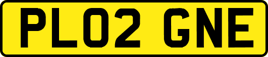 PL02GNE