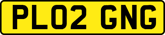 PL02GNG